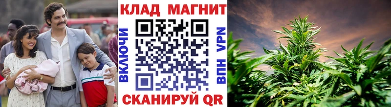 Виды наркотиков купить Игра MEGA ссылка  Канабис  Меф  Alpha PVP  АМФЕТАМИН  ГАШ  КОКАИН 